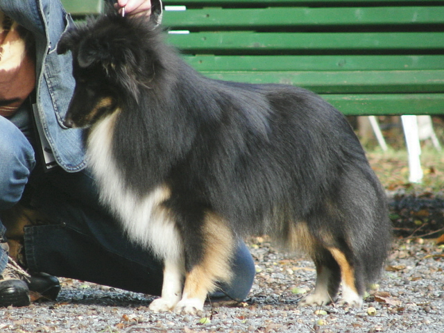 Cedrik z Dřevěné chaloupky